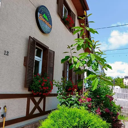Bucovina 3* Câmpulung Moldovenesc