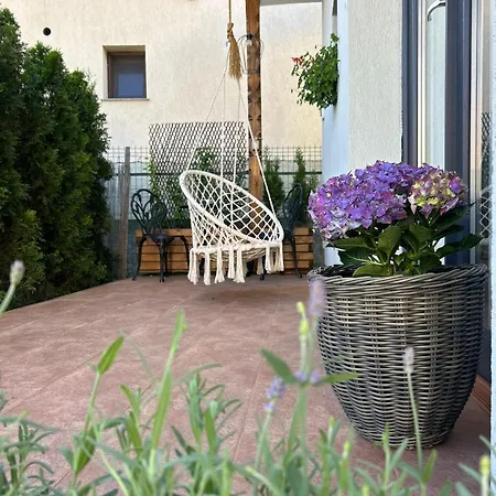 Bed and breakfast Bucovina Câmpulung Moldovenesc