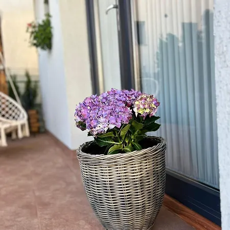 Bucovina Bed and breakfast 3*